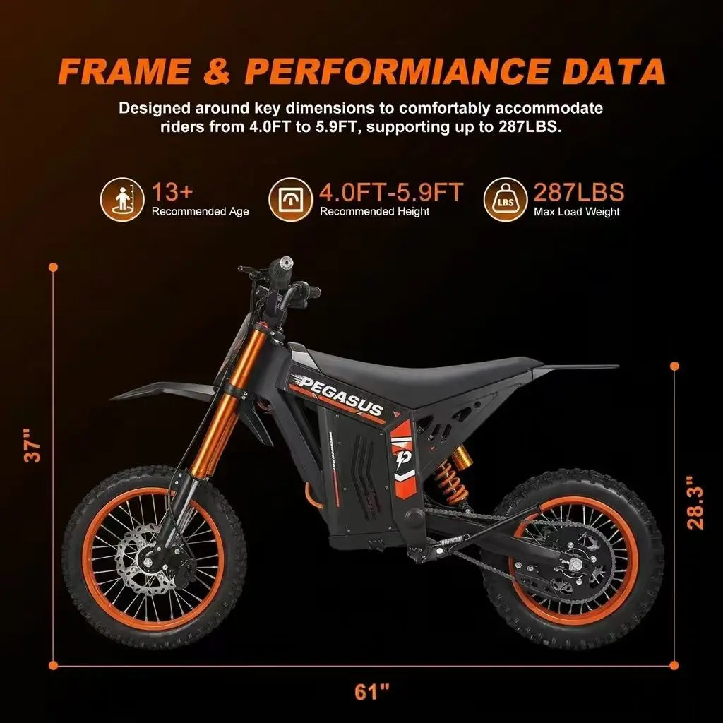 PEGASUS 2000W Electric Dirt Bike