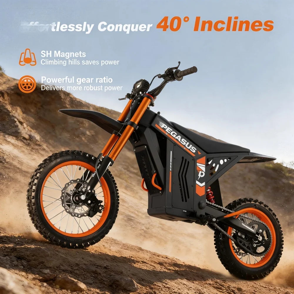 PEGASUS 2000W Electric Dirt Bike